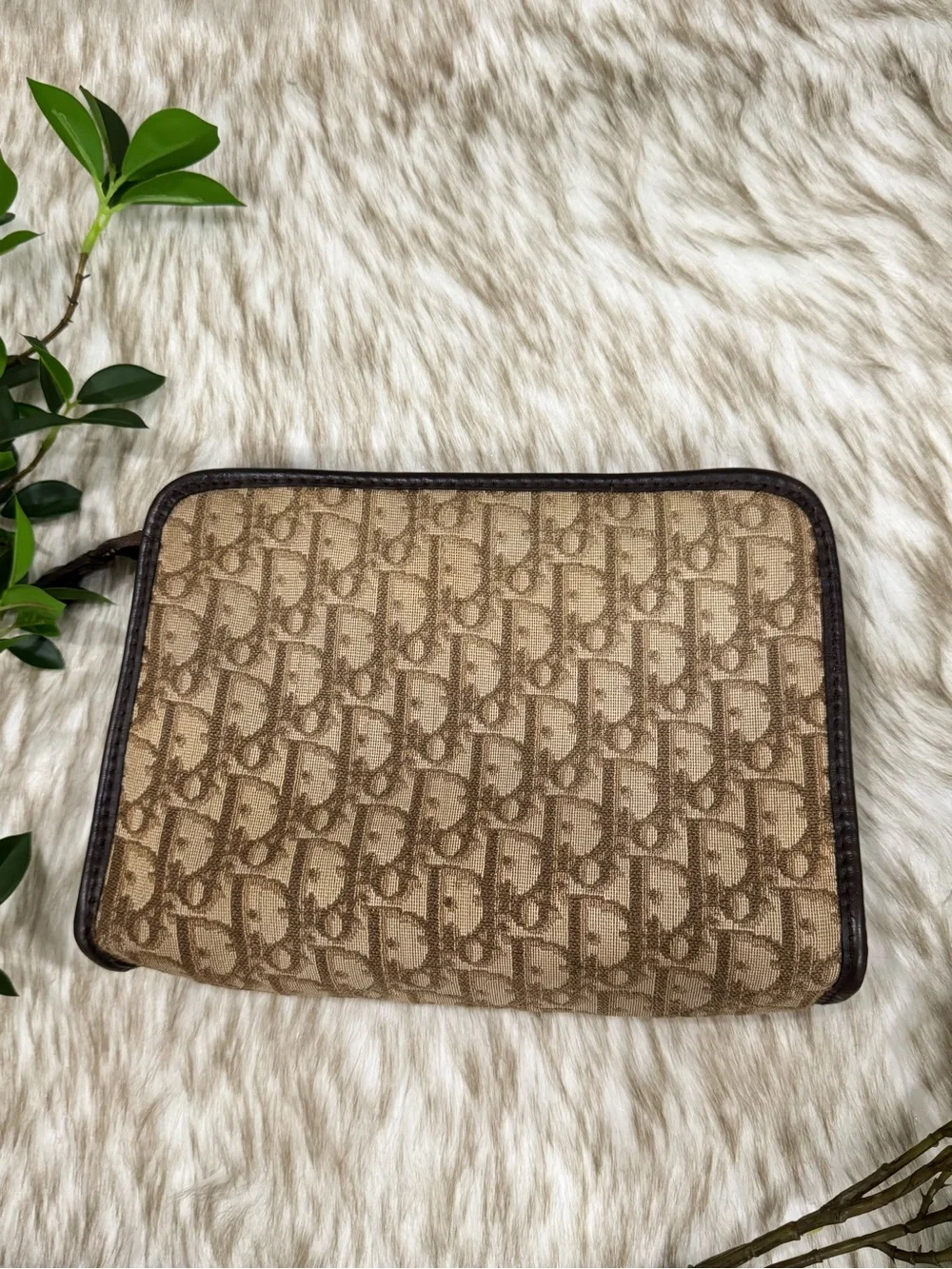 Dior authentic monogram